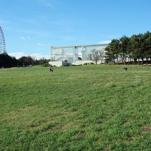 芝生の広場