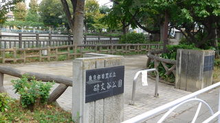 のどかな雰囲気