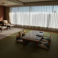 広い和室でした。眺望は遠くに海が見える程度でした。