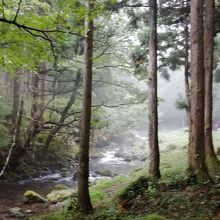 滝への路は奥入瀬に似ています