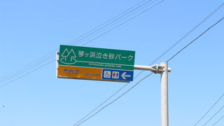 泣き砂かはわからなかったけど、きれいな砂浜の海岸