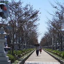 木陰もないので暑い