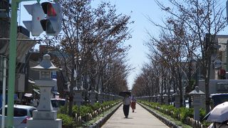 若宮大路の歩道