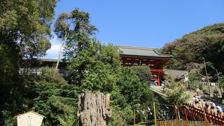 自然の恐ろしさ