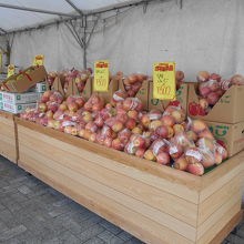 品種によって6～8個詰めたリンゴ袋税込み500円が人気