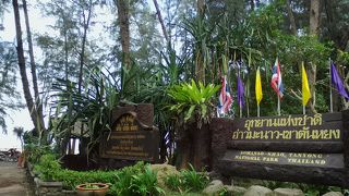 ビーチと森が楽しめる