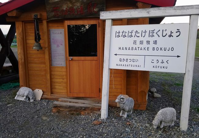 カフェと売店と少しの動物