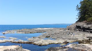 それほど広さは感じませんでした