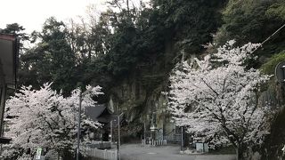 いろいろな楽しみ方ができそう