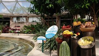 実験農場を見て廻るツアー