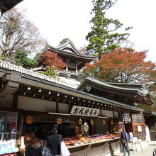 見どころ満載の高尾山