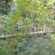 高尾山の吊り橋