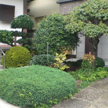 善仁寺の前には、緑の樹々が植えられています。手入れが良いです