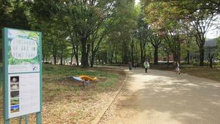 たくさんの芸術作品に出会えます