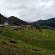 綺麗な棚田