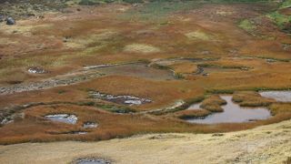 底の赤い土が見えているので