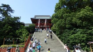 鎌倉の神社といえば！鶴岡八幡宮