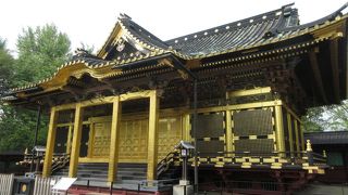 煌びやかに輝いています