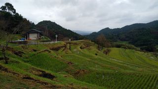 綺麗な棚田