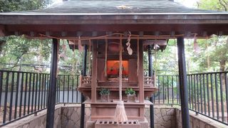 御狸様と呼ばれています