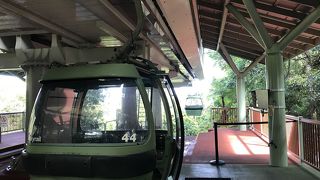 世界最古の熱帯雨林の森を空から観賞