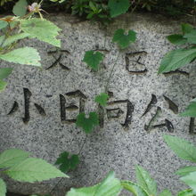 小日向公園の標石です。雑草に覆われていて、確認ができません。