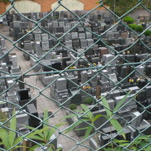 小日向公園の東側は、お寺の墓地です。段差がある低地区域です。