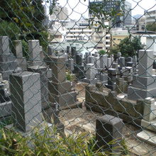 小日向公園の南隣は、お寺の墓地になっています。金網が境界です