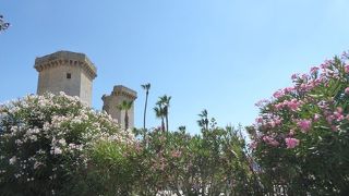 特異な景観はインスタ映え