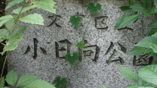 小日向公園は、本郷台地の南端にあり、見晴らしの良い公園です。