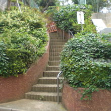 西側の入口です。右側に標石がありますが、草で覆われ見えません