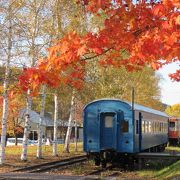 賑わう道の駅の裏手で、訪れる人はまばら