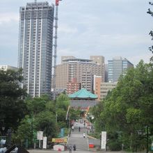 月の松を背に、不忍池弁天堂方面を望むとこんな感じです。