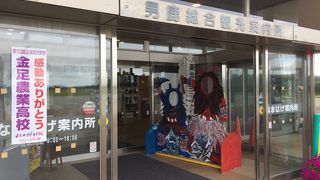 とっても大きななまはげ像！