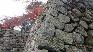 日本１００名城の一つ。石垣が残るだけですが見晴らしもよくて広い