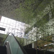 水が流れる階段にたくさんの竹が立つ「竹林瀑布」