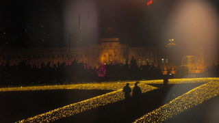 夜もねらい目です