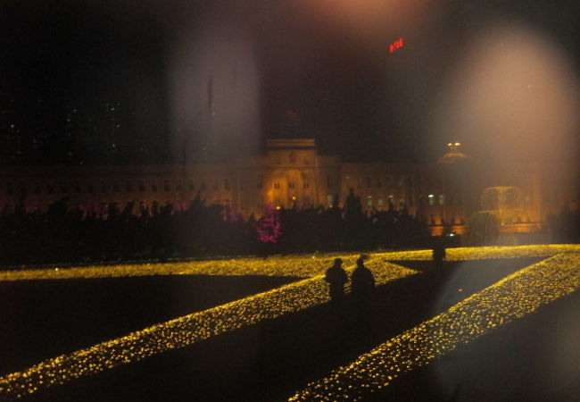 夜もねらい目です