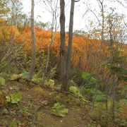 森林パトロール事務所から「第一花園」まで約45分