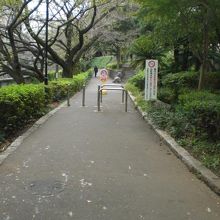 江戸川公園は、神田川に沿って細長い公園です。桜の木が多いです