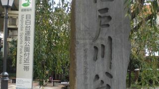 江戸川公園は、首都高速5号線と神田川が交差する地点にある公園です。