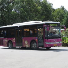 袁家界の中を走るバス