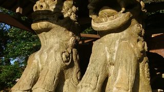 西陽の当たる狛犬