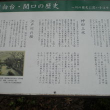 大井玄洞の胸像の傍には、江戸川公園を紹介する解説板があります