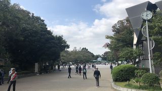 美術館がいっぱい