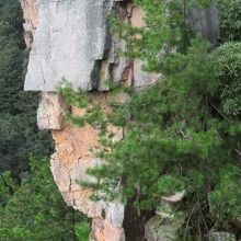 武士の顔のような岩があります