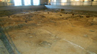 入場無料で感無量♪