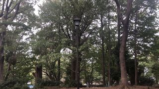 隠れ家的な休憩スペース