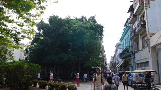 ハバナ一の賑やかな通り