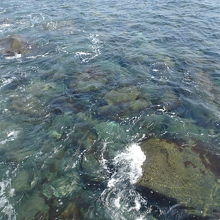 海の水がきれいです。